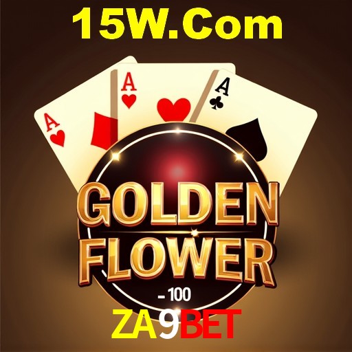Interface Premium ZA9BET